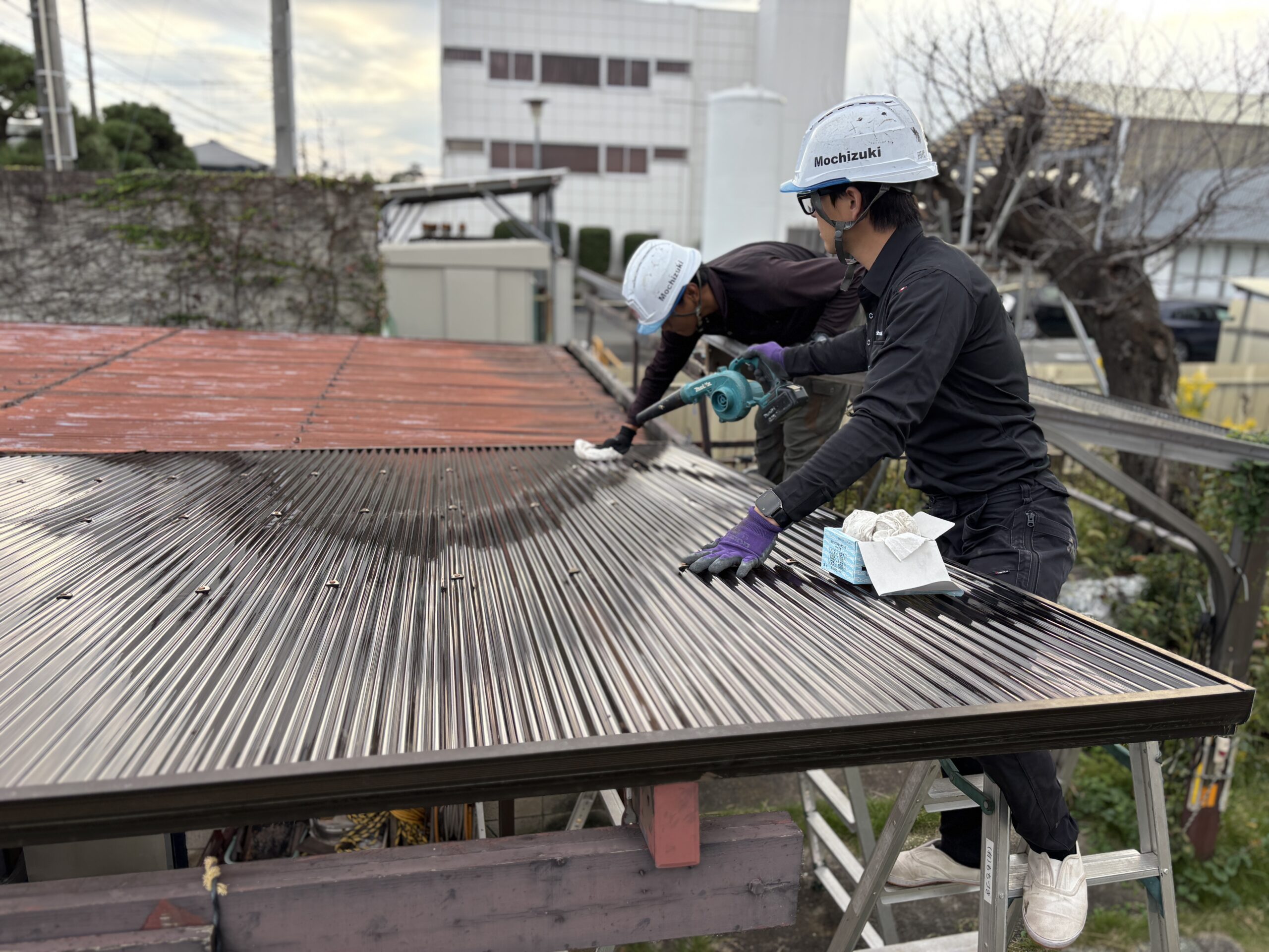 新しいポリカ波板のほこりを濡れたウエスで拭き取りながら取り付ける作業